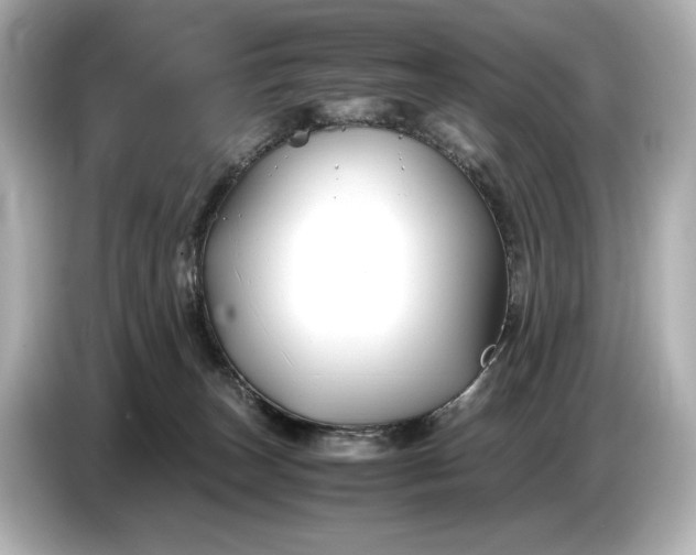 X0000086960179200704301245