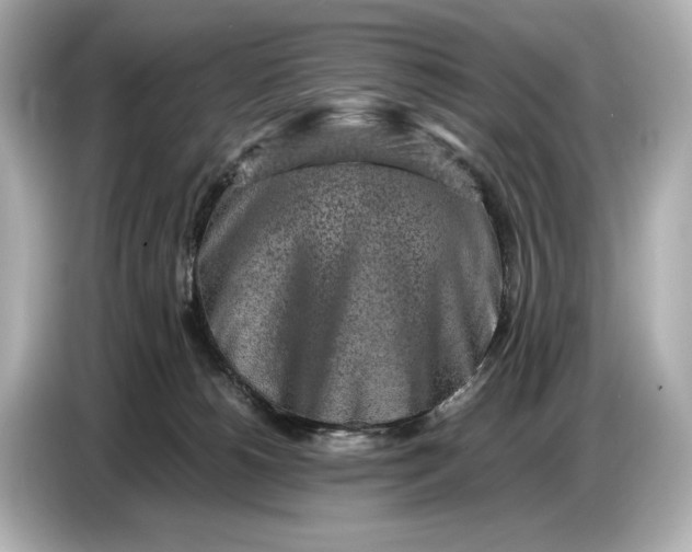 X0000086960180200704301245