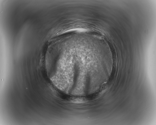 X0000086960181200704301245