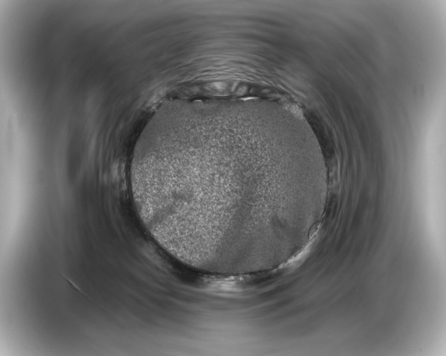 X0000086960182200704301245