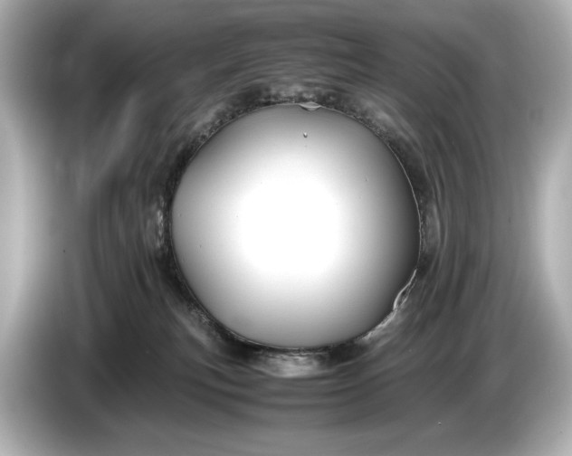 X0000086960183200704301245