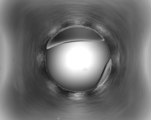 X0000086960184200704301245