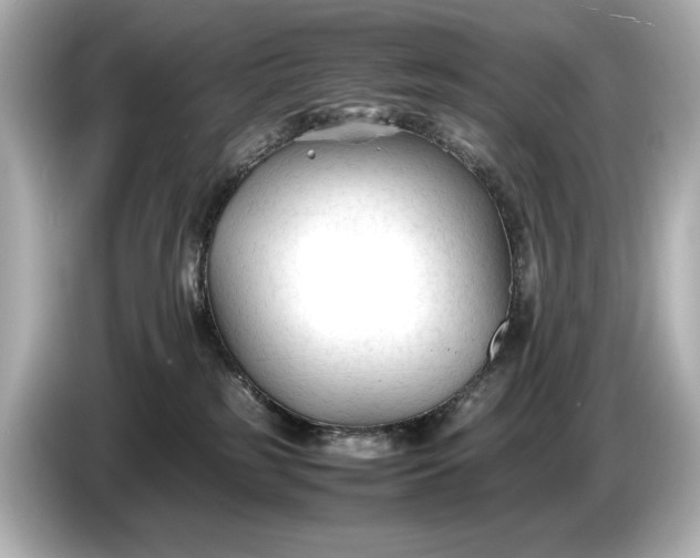 X0000086960185200704301245