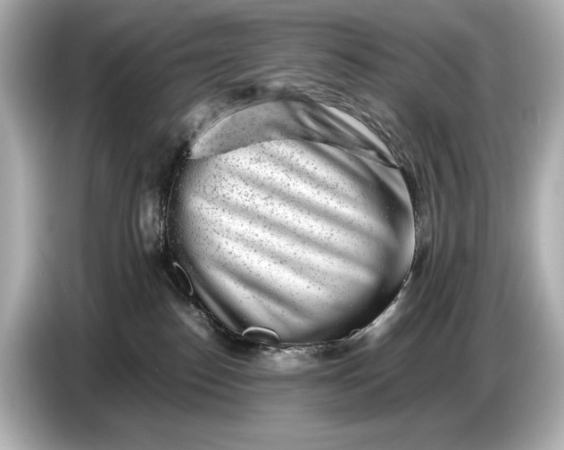 X0000086960186200704301245