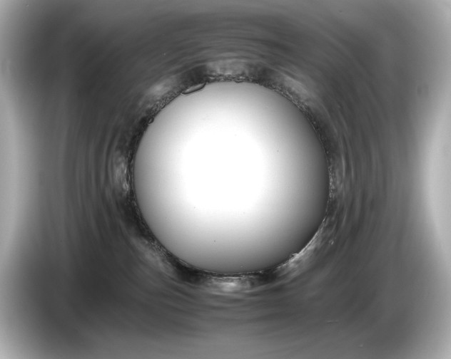 X0000086960187200704301245
