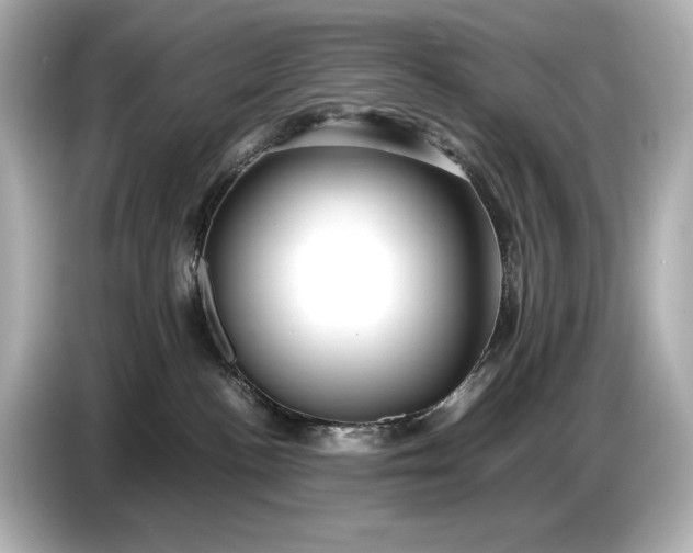 X0000086960188200704301245