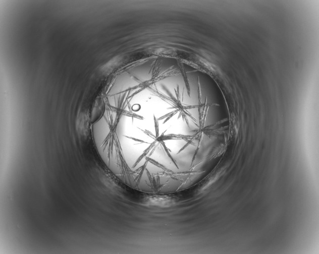 X0000086960189200704301245