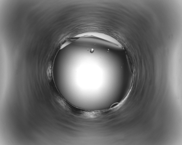 X0000086960190200704301245