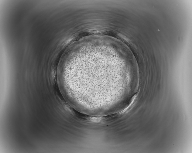 X0000086960192200704301245