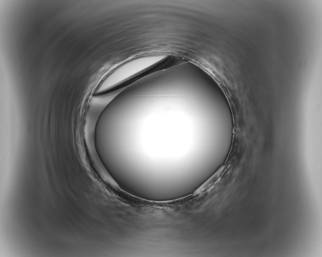 X0000086960193200704301244