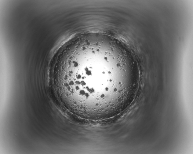 X0000086960194200704301244