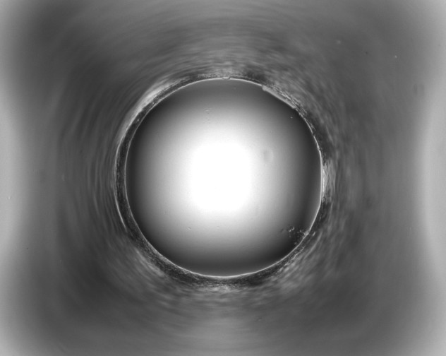 X0000086960195200704301244