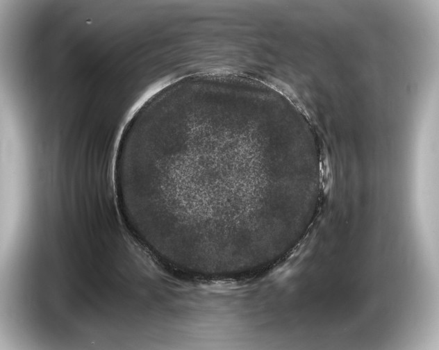 X0000086960196200704301244