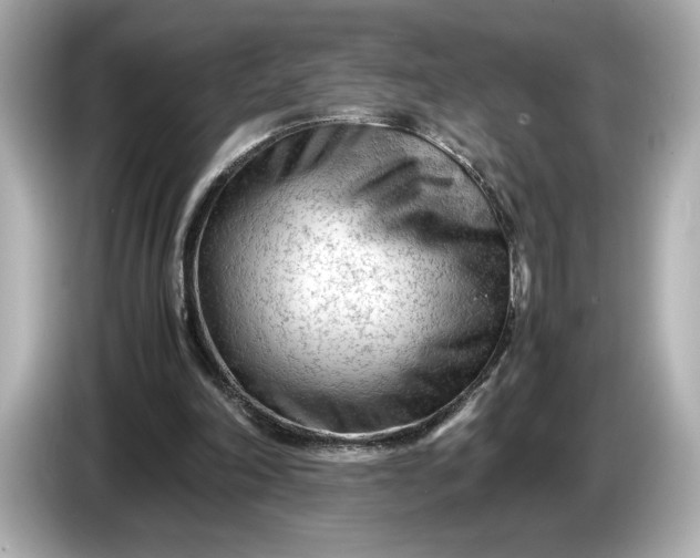 X0000086960198200704301244