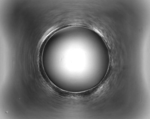 X0000086960199200704301244