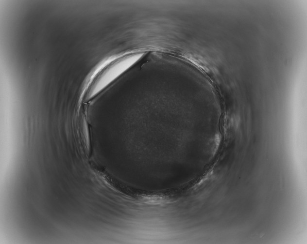 X0000086960200200704301244