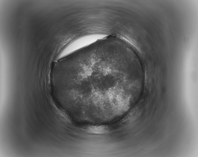 X0000086960202200704301244