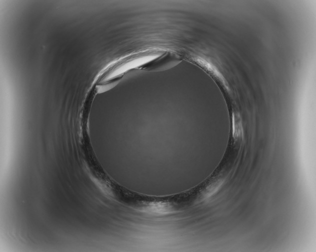 X0000086960204200704301244
