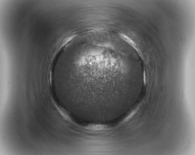 X0000086960205200704301244
