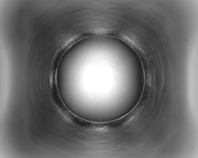 X0000086960206200704301244