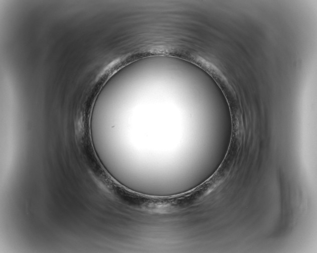 X0000086960208200704301244