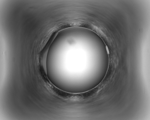 X0000086960209200704301244
