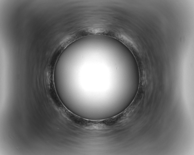 X0000086960210200704301244