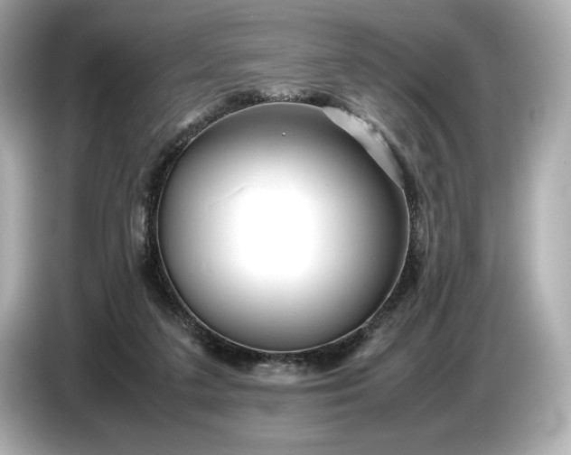 X0000086960211200704301244