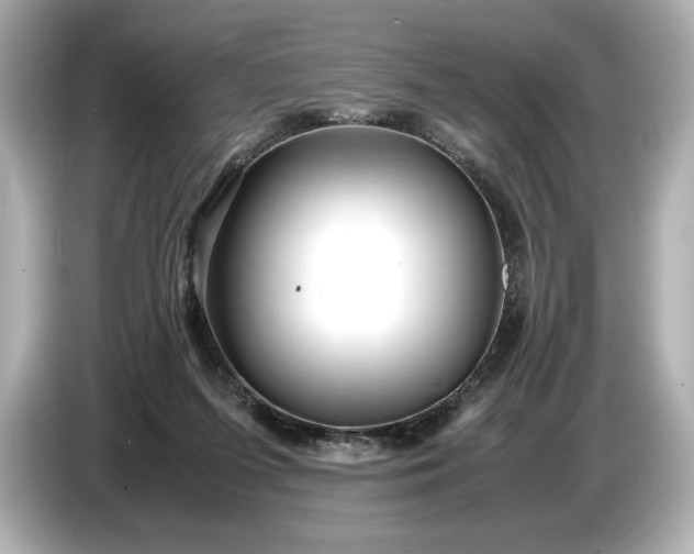X0000086960215200704301244
