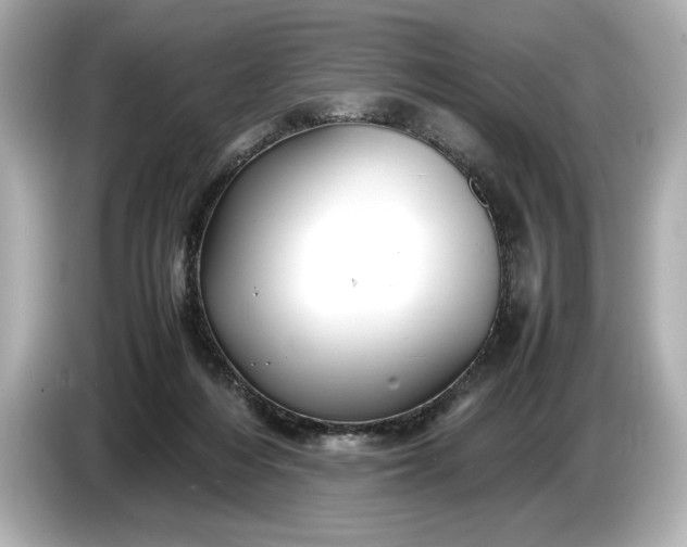 X0000086960216200704301244