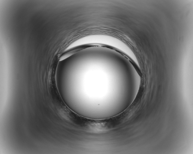 X0000086960217200704301244
