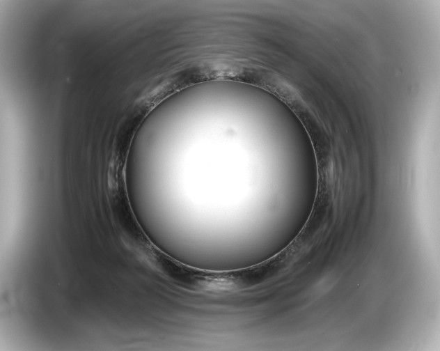 X0000086960218200704301244