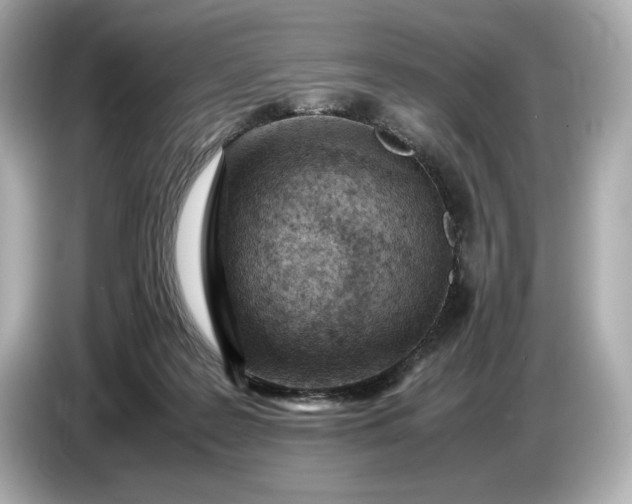 X0000086960219200704301244