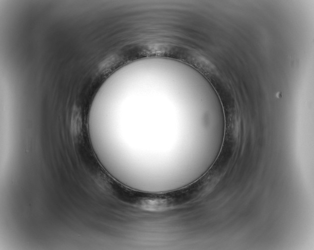 X0000086960220200704301244