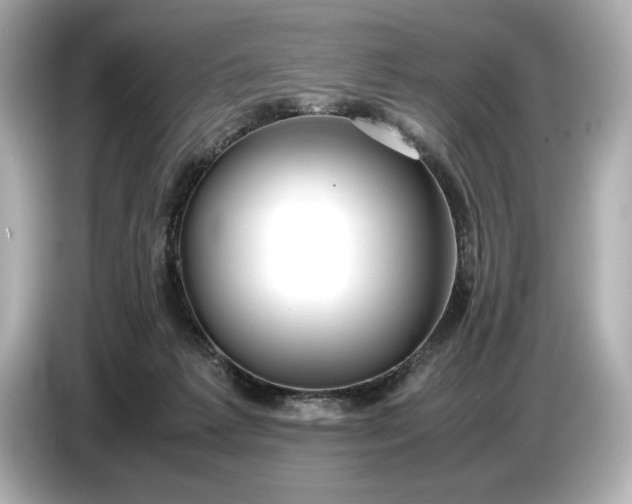 X0000086960221200704301244