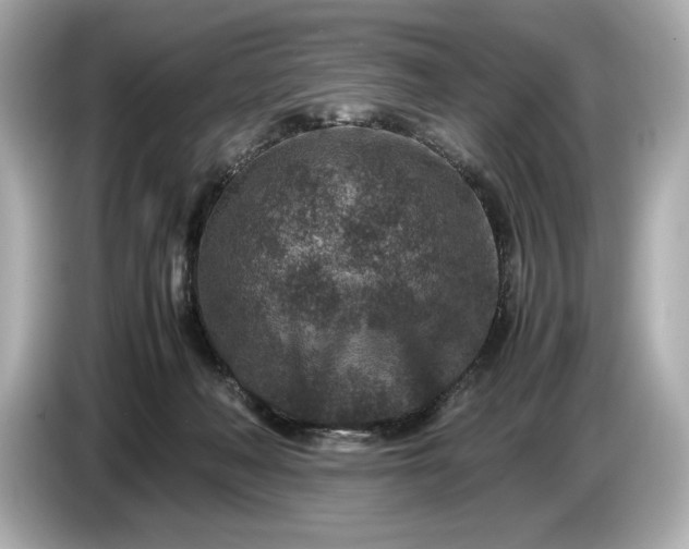 X0000086960222200704301244