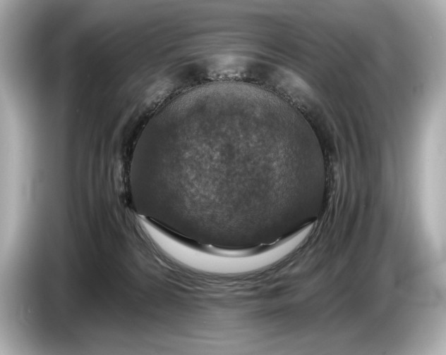 X0000086960224200704301244