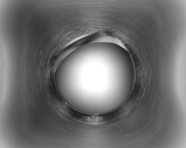 X0000086960225200704301244