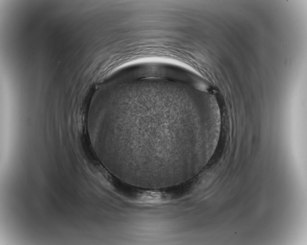 X0000086960227200704301244