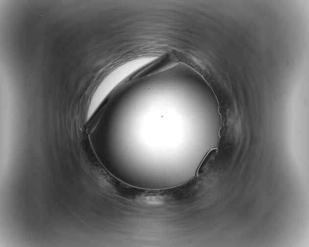 X0000086960228200704301244