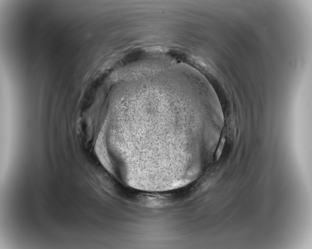 X0000086960229200704301244