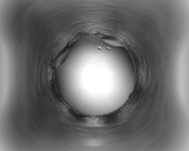 X0000086960230200704301244