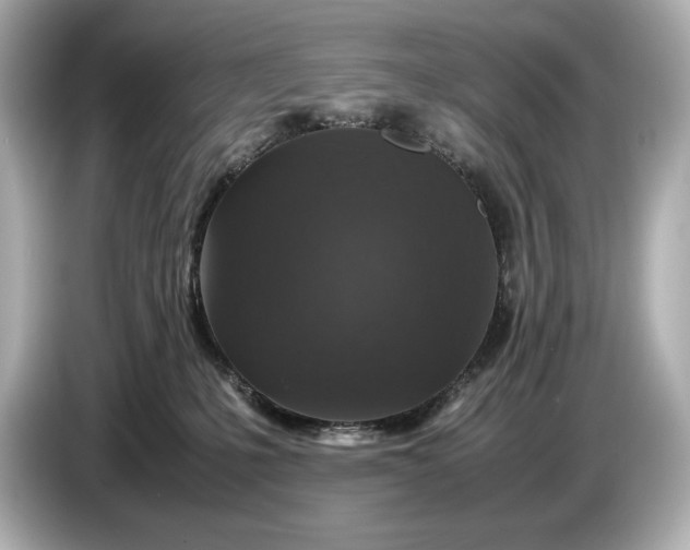 X0000086960231200704301244