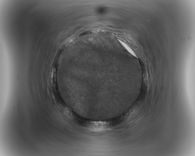 X0000086960233200704301244