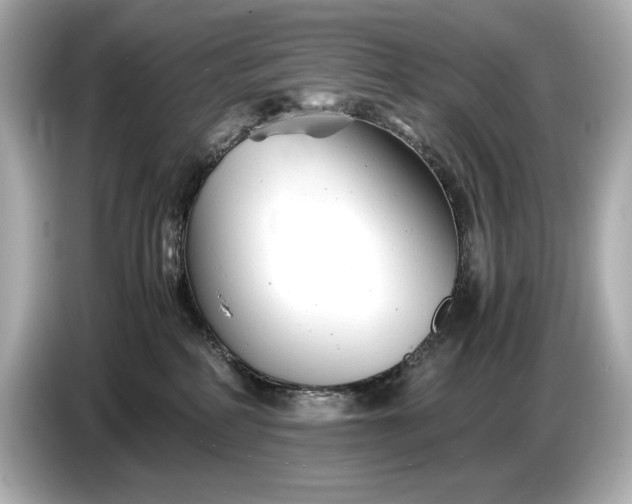 X0000086960234200704301244