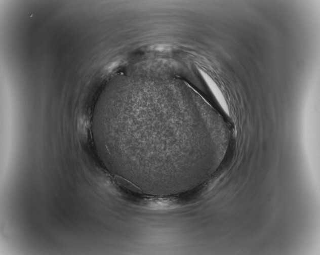 X0000086960235200704301244