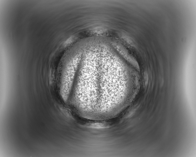 X0000086960236200704301244