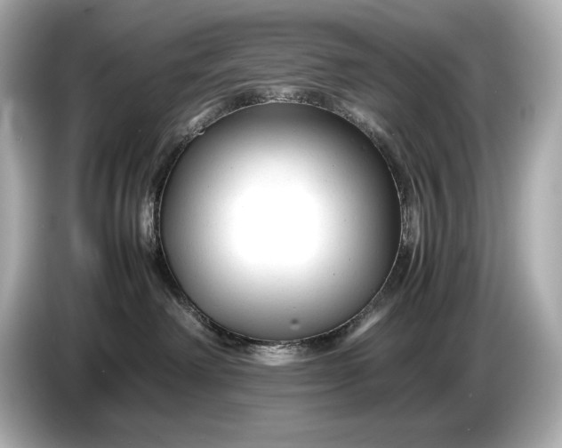 X0000086960238200704301244