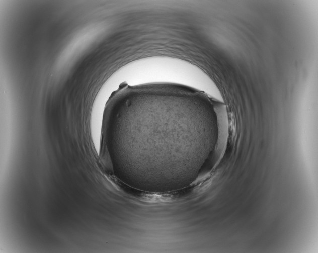 X0000086960239200704301244