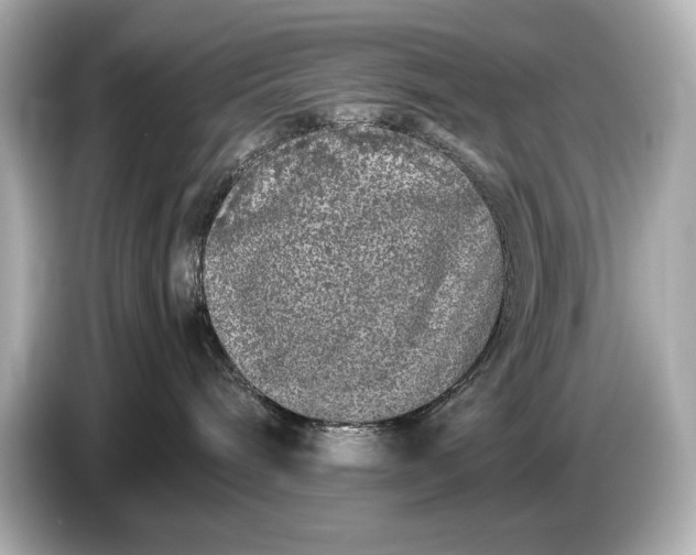 X0000086960240200704301244